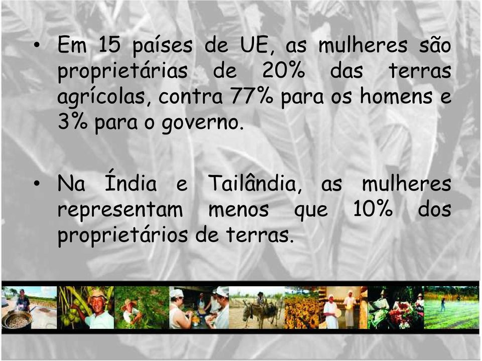 3% para o governo.