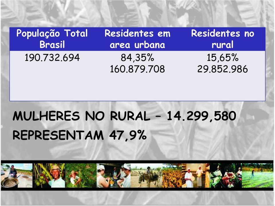 708 Residentes no rural 15,65% 29.852.