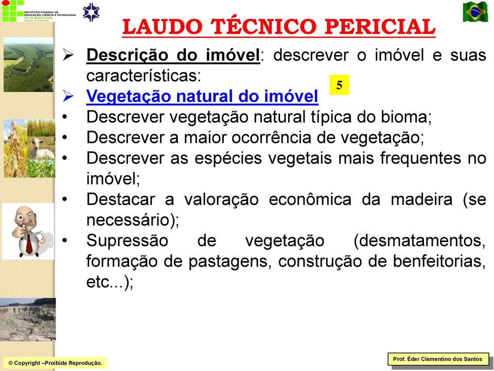 Descrever as espécies vegetais mais frequentes no imóvel; Destacar a valoração econômica da madeira (se