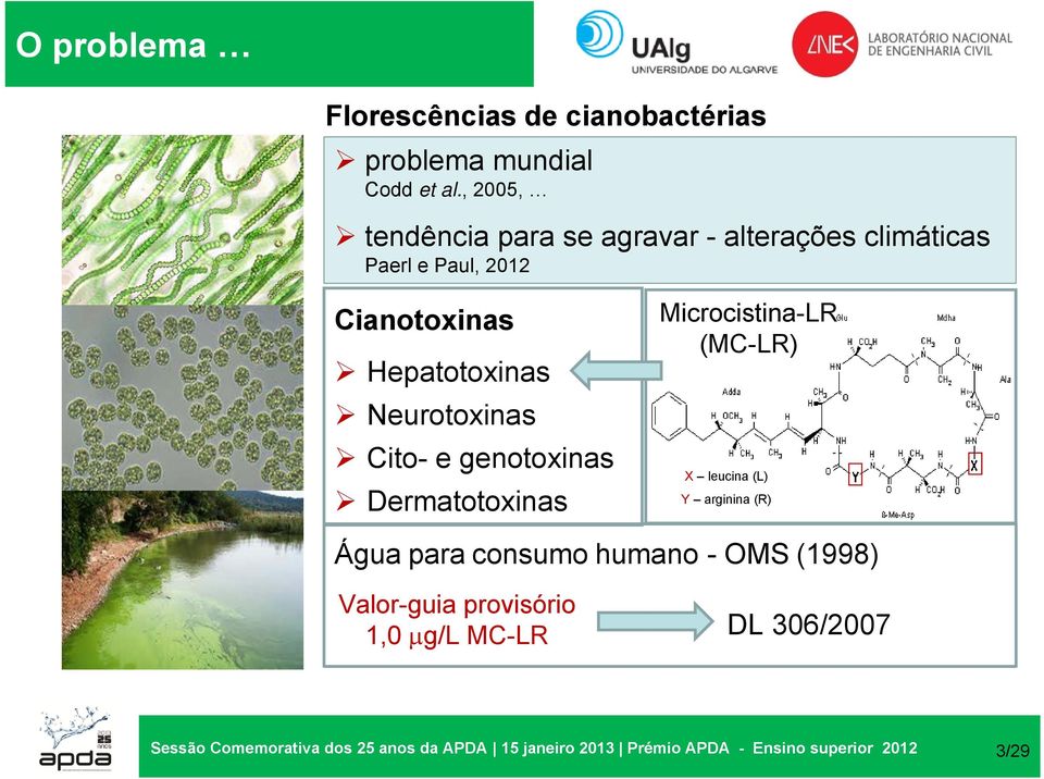 Neurotoxinas Cito- e genotoxinas Dermatotoxinas Microcistina-LR (MC-LR) X leucina (L) Y arginina (R) Água para