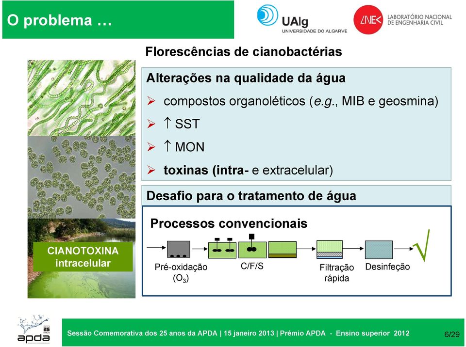 Processos convencionais CIANOTOXINA intracelular Pré-oxidação Água Bruta(O 3 ) C/F/S Filtração