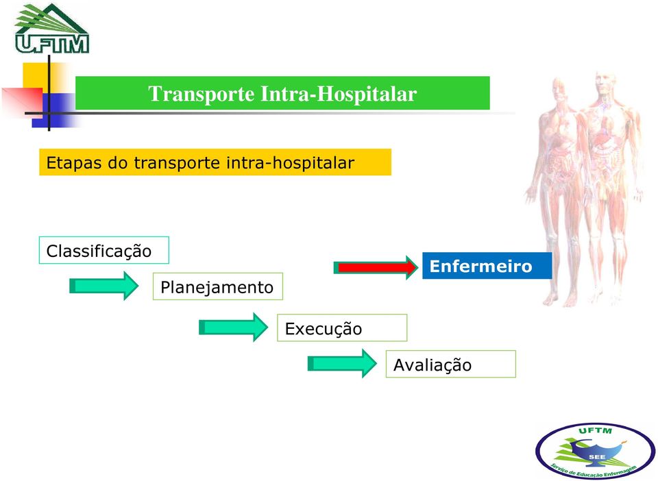 Classificação