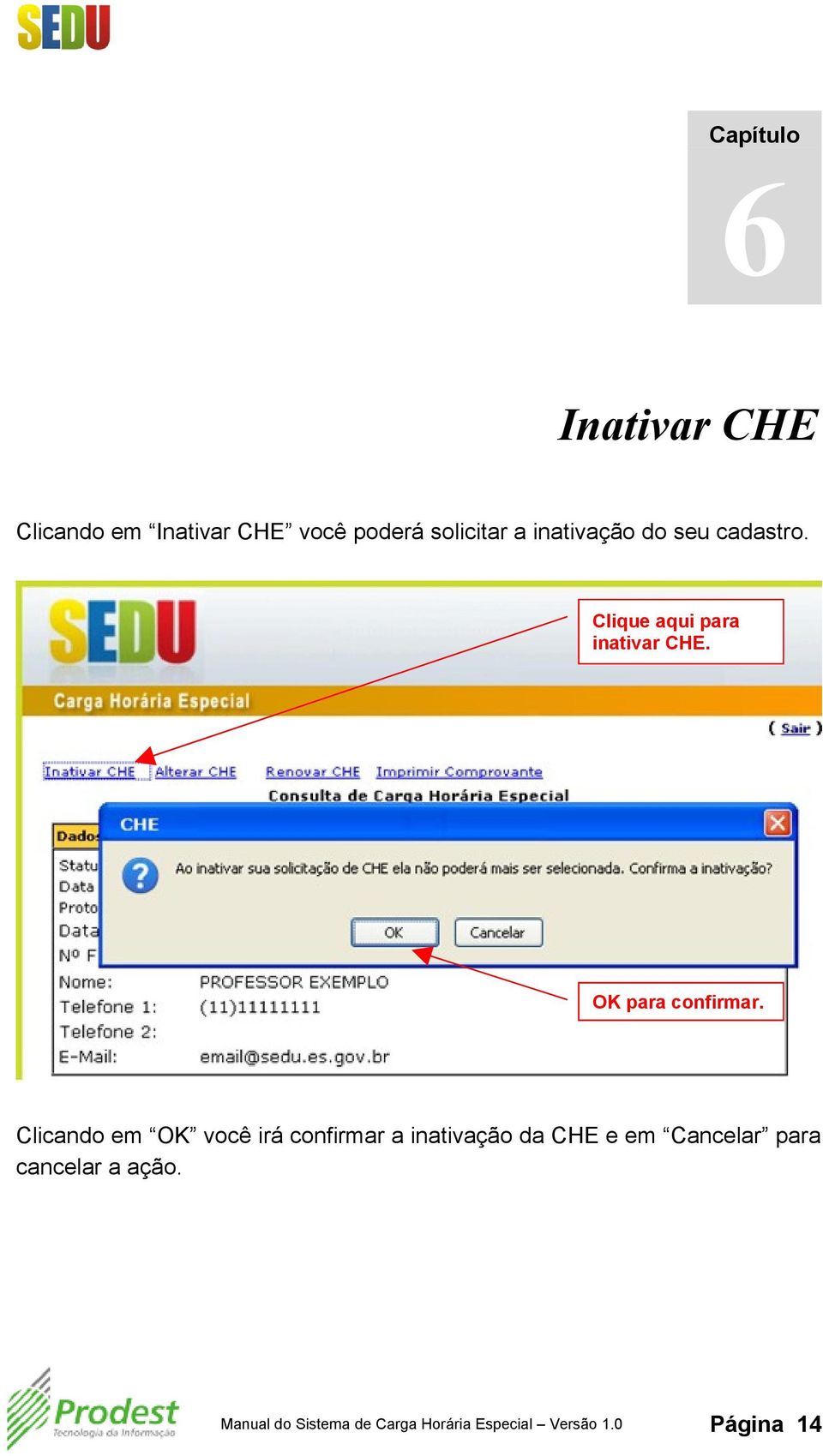 Clicando em OK você irá confirmar a inativação da CHE e em Cancelar para