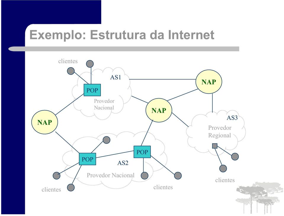 Nacional NAP Provedor Regional AS3 POP