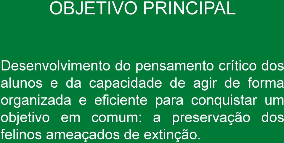 organizada e eficiente para conquistar um objetivo