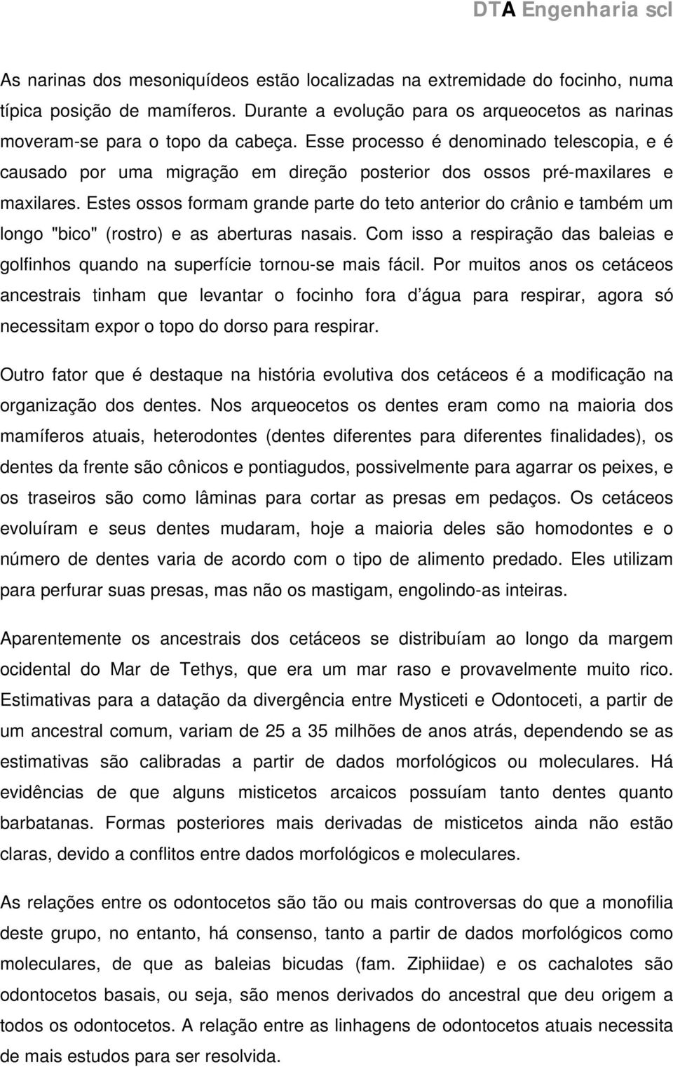 Estes ossos formam grande parte do teto anterior do crânio e também um longo "bico" (rostro) e as aberturas nasais.