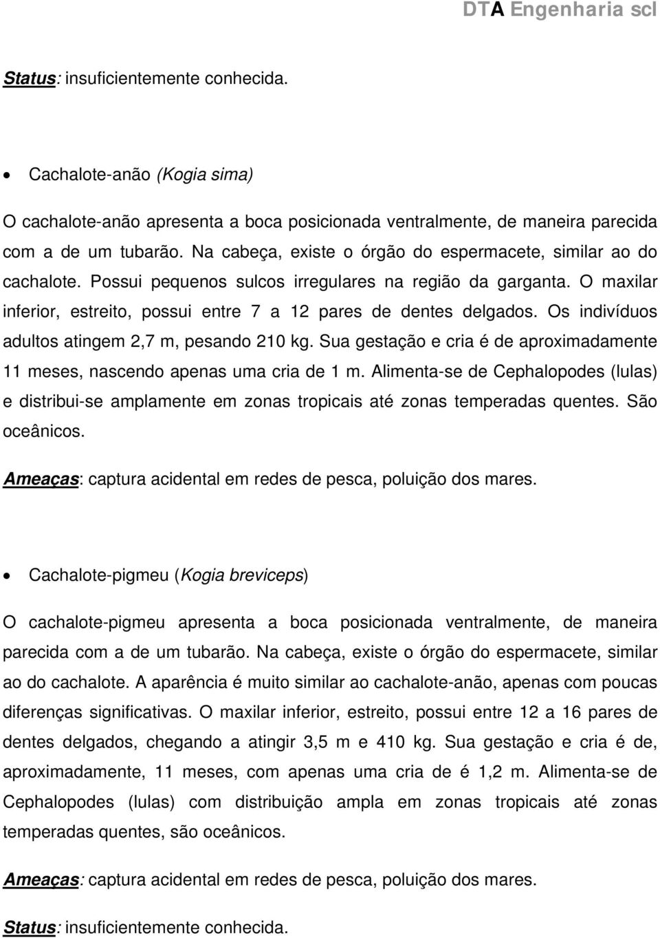 Sua gestação e cria é de aproximadamente 11 meses, nascendo apenas uma cria de 1 m. Alimenta-se de Cephalopodes (lulas) e distribui-se amplamente em zonas tropicais até zonas temperadas quentes.