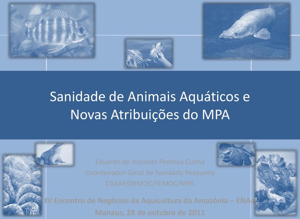 Sanidade Pesqueira CGSAP/DEMOC/SEMOC/MPA IV Encontro de