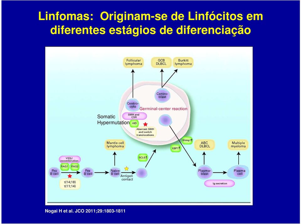 de diferenciação Somatic