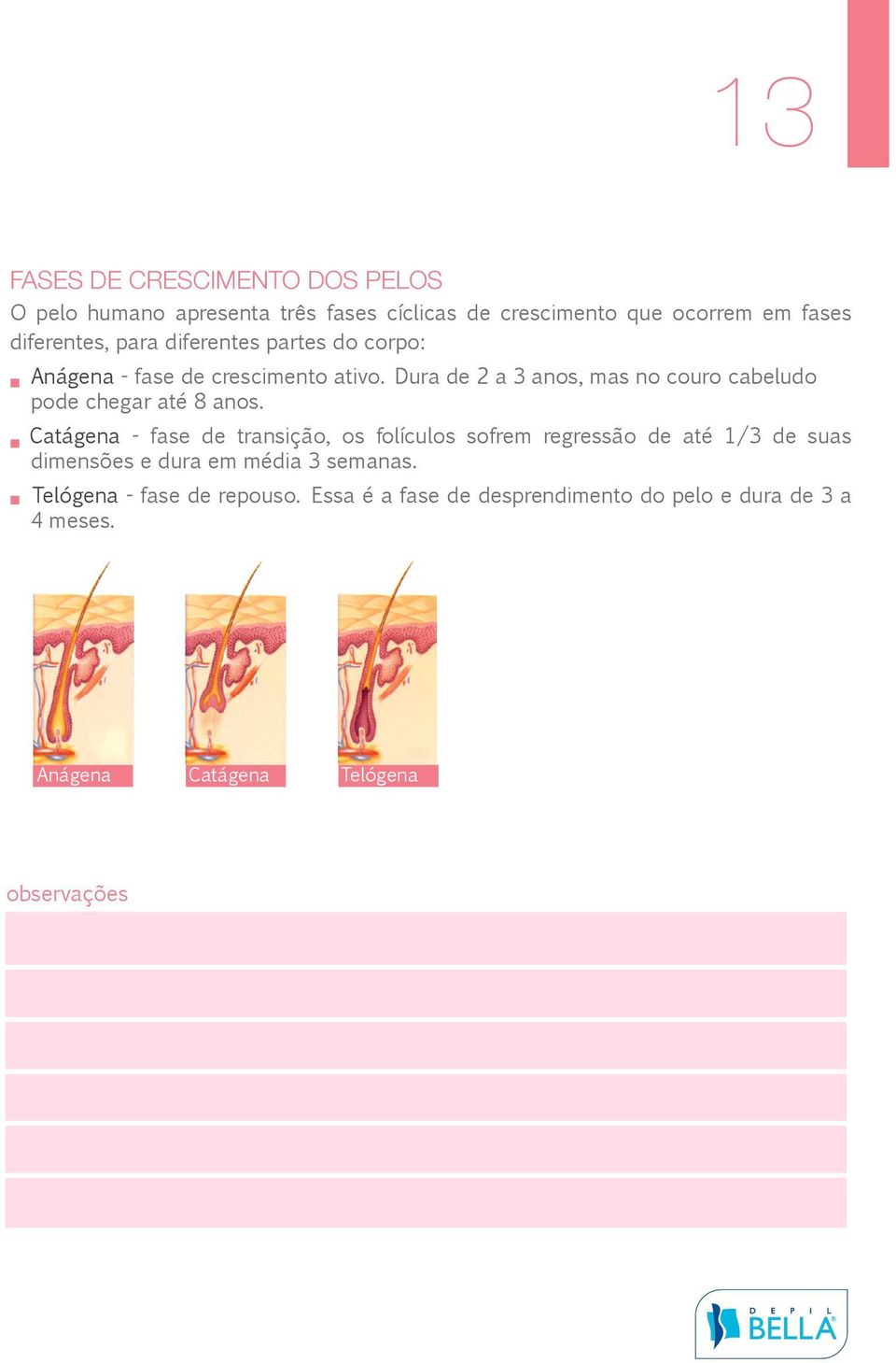 Dura de 2 a 3 anos, mas no couro cabeludo pode chegar até 8 anos.