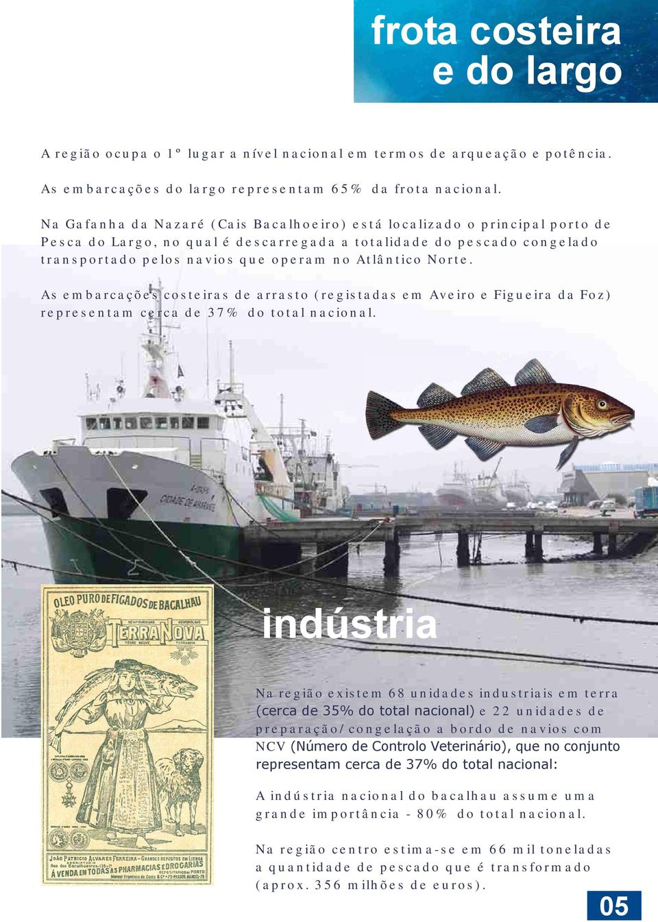 Norte. As embarcações costeiras de arrasto (registadas em Aveiro e Figueira da Foz) representam cerca de 37% do total nacional.