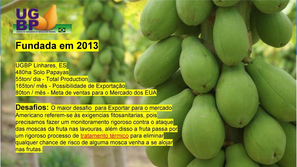 fitosanitarias, pois precisamos fazer um monitoramento rigoroso contra o ataque das moscas da fruta nas lavouras, além disso a fruta