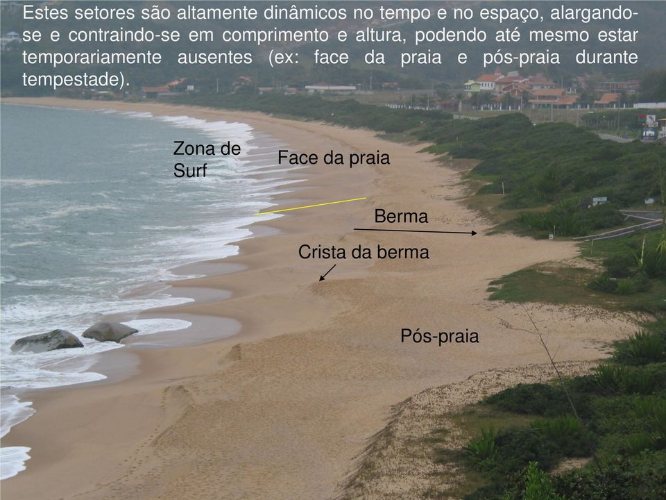 mesmo estar temporariamente ausentes (ex: face da praia e pós-praia