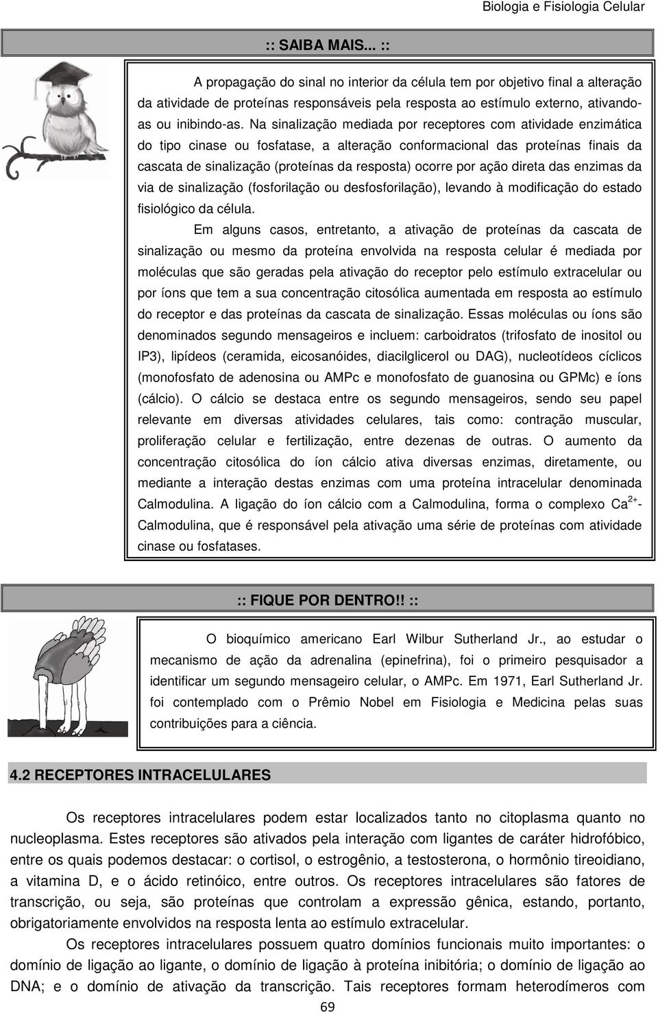 por ação direta das enzimas da via de sinalização (fosforilação ou desfosforilação), levando à modificação do estado fisiológico da célula.