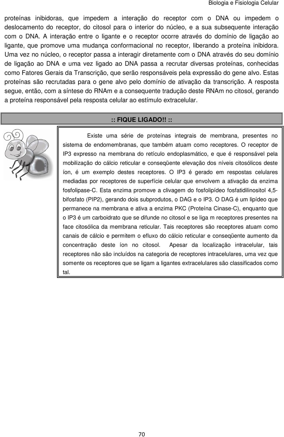 Uma vez no núcleo, o receptor passa a interagir diretamente com o DNA através do seu domínio de ligação ao DNA e uma vez ligado ao DNA passa a recrutar diversas proteínas, conhecidas como Fatores