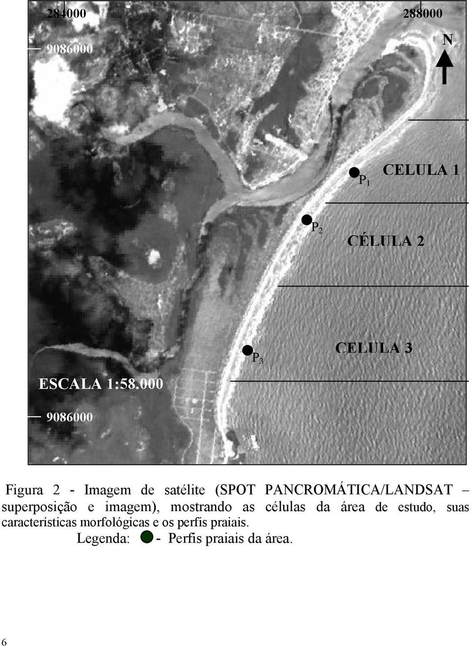 PANCROMÁTICA/LANDSAT superposição e imagem), mostrando as células da área