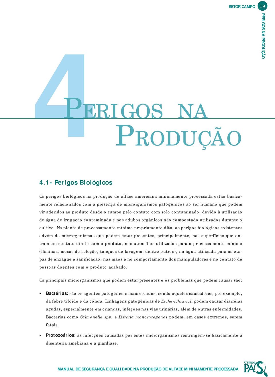 vir aderidos ao produto desde o campo pelo contato com solo contaminado, devido à utilização de água de irrigação contaminada e nos adubos orgânicos não compostado utilizados durante o cultivo.