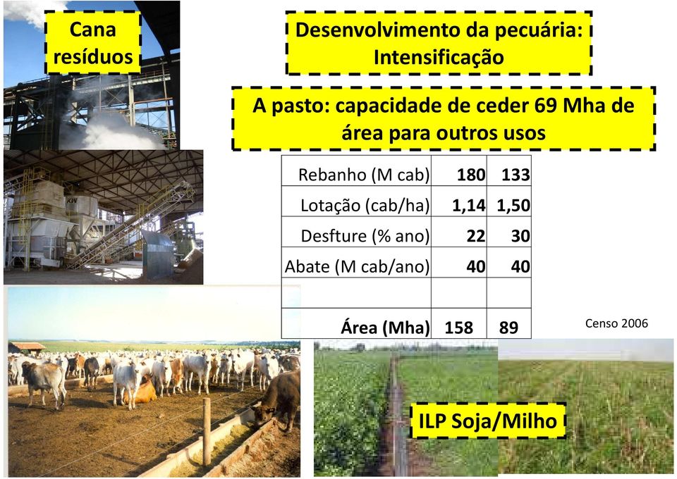 Rebanho(M cab) 180 133 Lotação(cab/ha) 1,14 1,50 Desfture(%