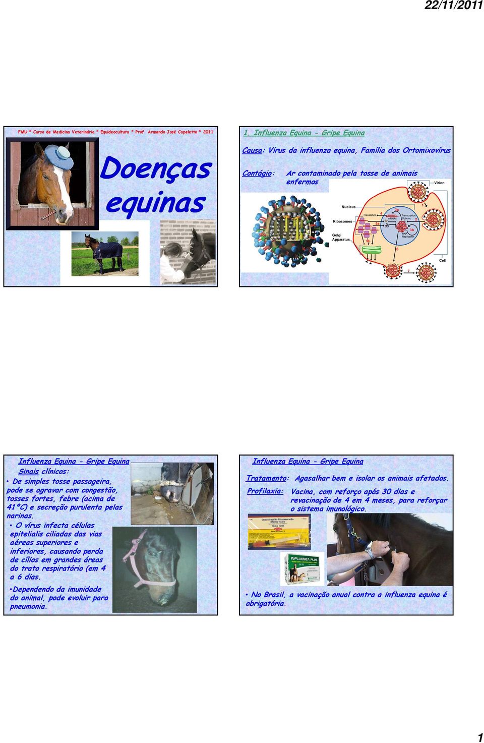 simples tosse passageira, pode se agravar com congestão, tosses fortes, febre (acima de 41ºC) e secreção purulenta pelas narinas.