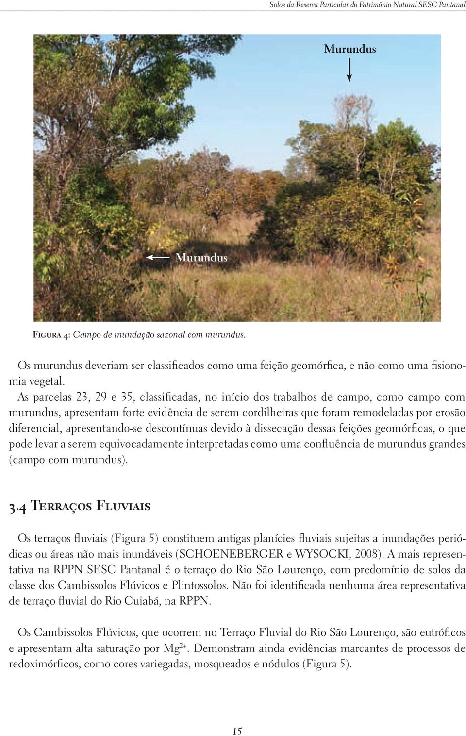 As parcelas 23, 29 e 35, classificadas, no início dos trabalhos de campo, como campo com murundus, apresentam forte evidência de serem cordilheiras que foram remodeladas por erosão diferencial,