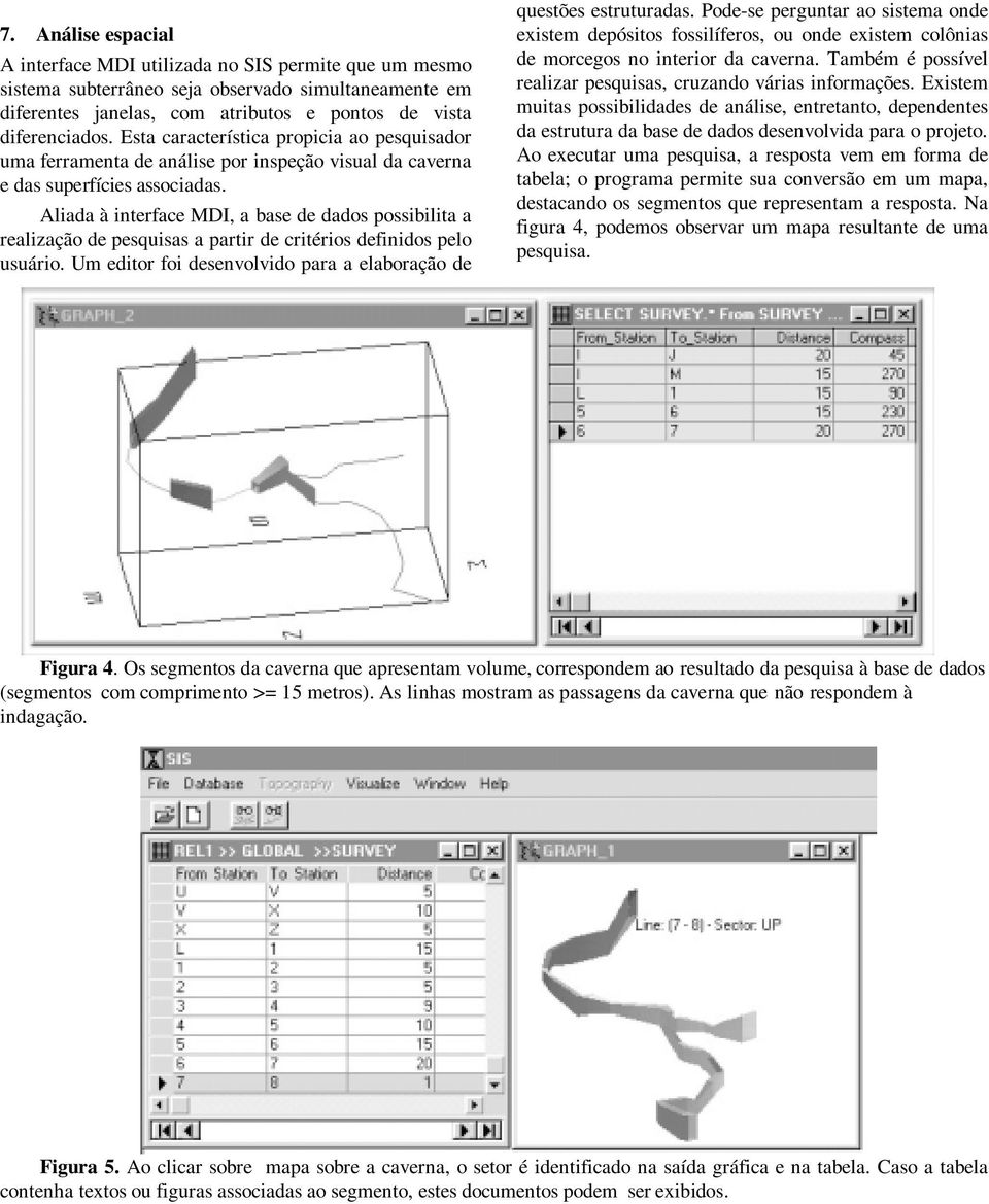 Aliada à interface MDI, a base de dados possibilita a realização de pesquisas a partir de critérios definidos pelo usuário. Um editor foi desenvolvido para a elaboração de questões estruturadas.