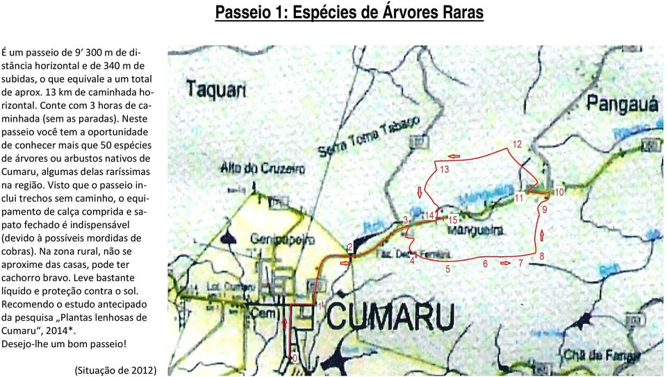 Neste passeio você tem a oportunidade de conhecer mais que 50 espécies de árvores ou arbustos nativos de Cumaru, algumas delas raríssimas na região.