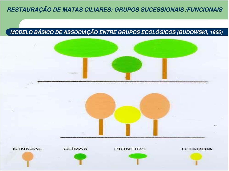 MODELO BÁSICO DE ASSOCIAÇÃO