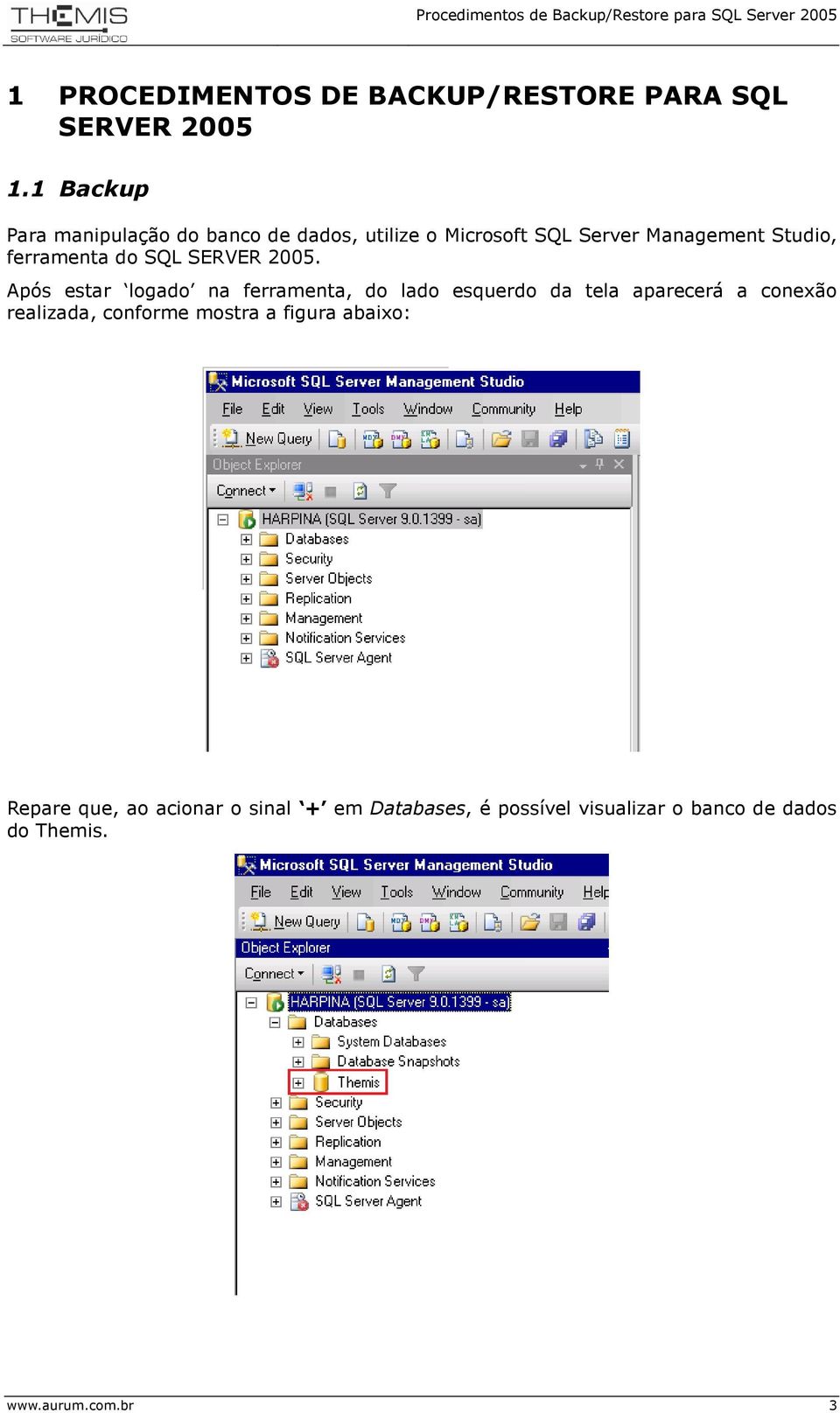 ferramenta do SQL SERVER 2005.