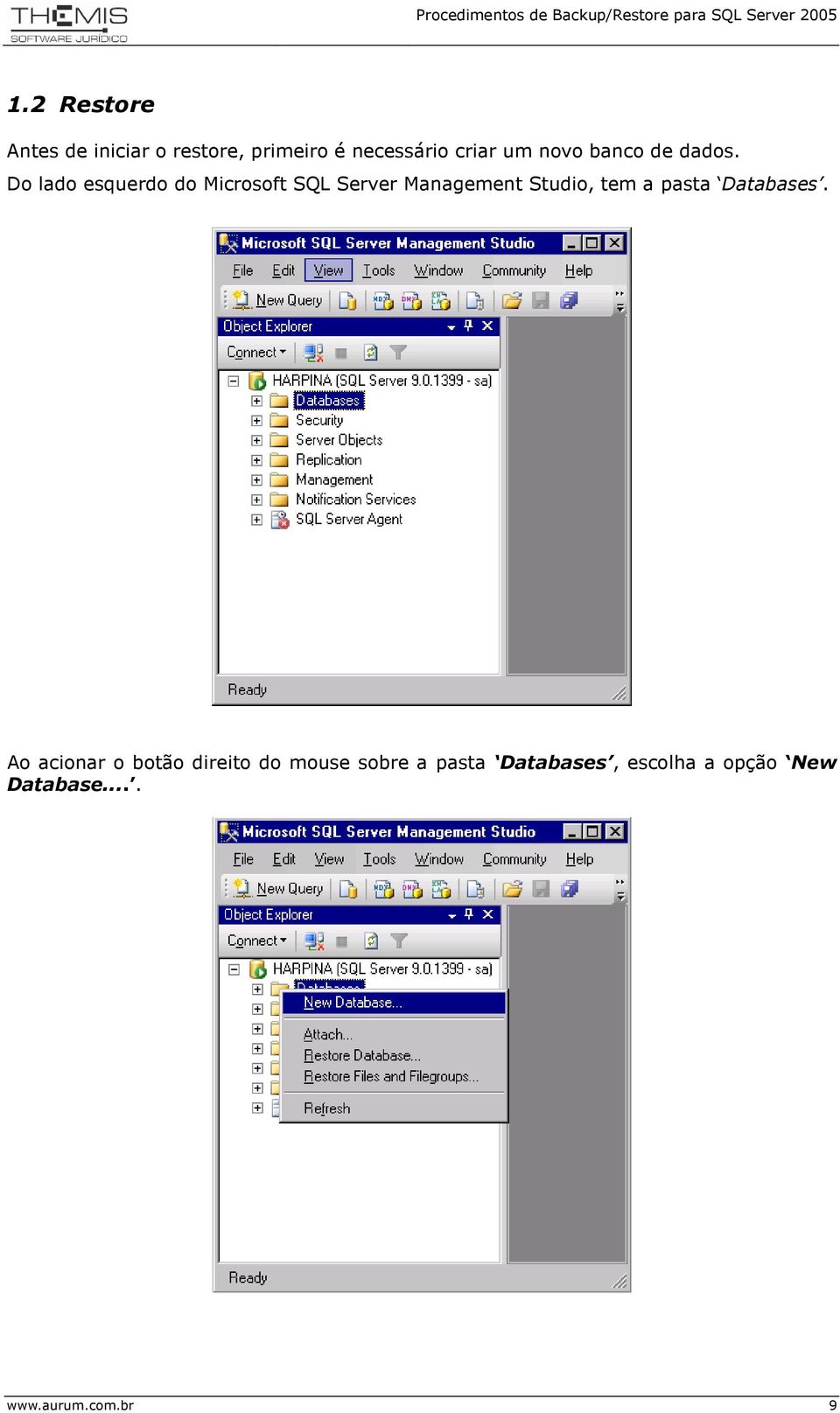 Do lado esquerdo do Microsoft SQL Server Management Studio, tem a pasta