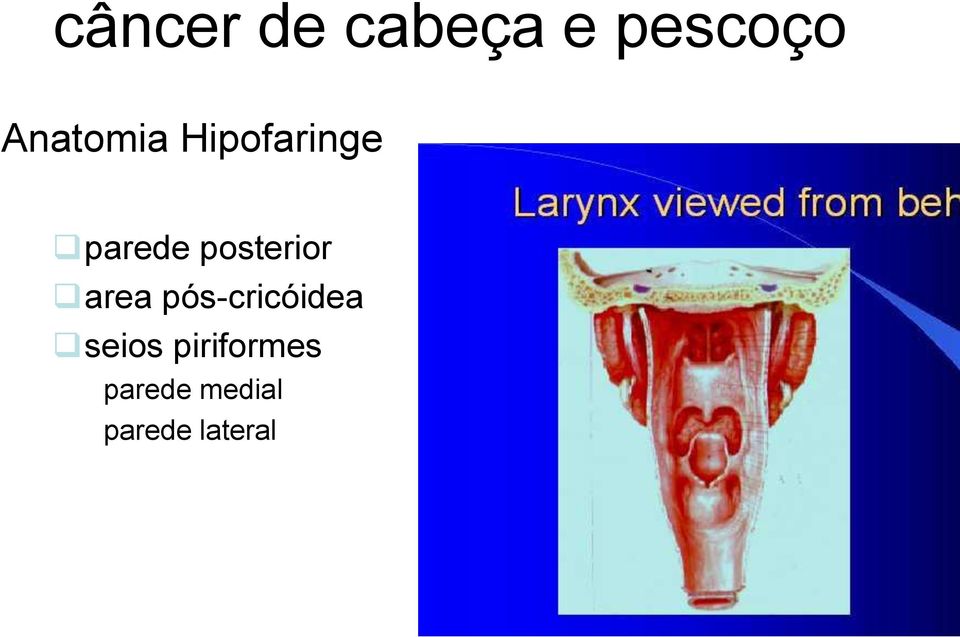 pós-cricóidea seios