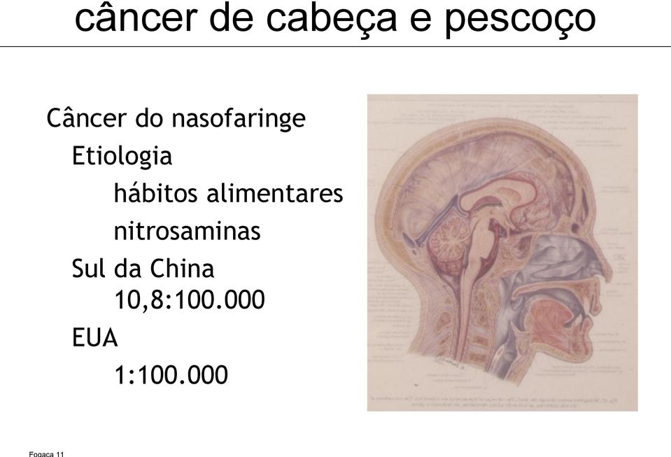 alimentares nitrosaminas