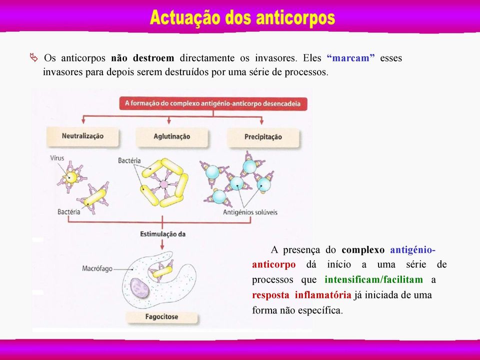 processos.