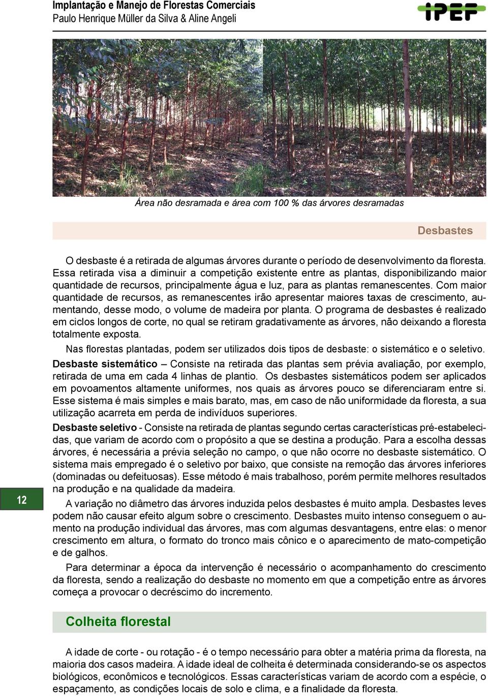 Essa retirada visa a diminuir a competição existente entre as plantas, disponibilizando maior quantidade de recursos, principalmente água e luz, para as plantas remanescentes.