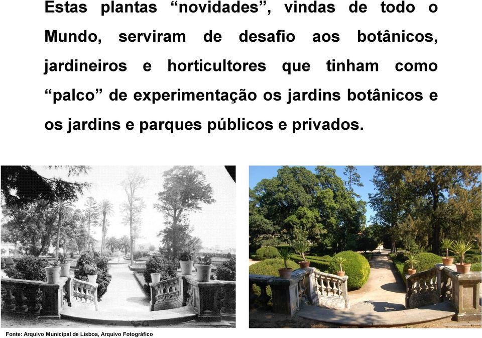 palco de experimentação os jardins botânicos e os jardins e parques