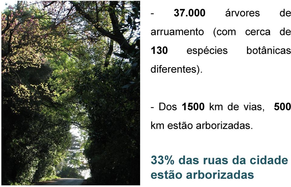 - Dos 1500 km de vias, 500 km estão