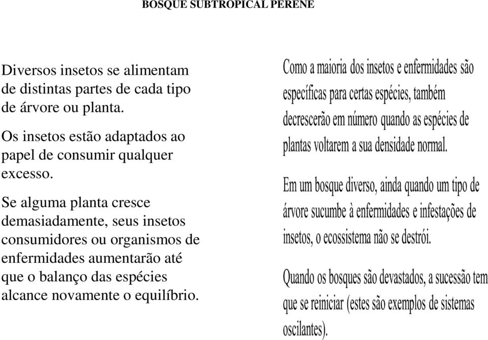 Os insetos estão adaptados ao papel de consumir qualquer excesso.