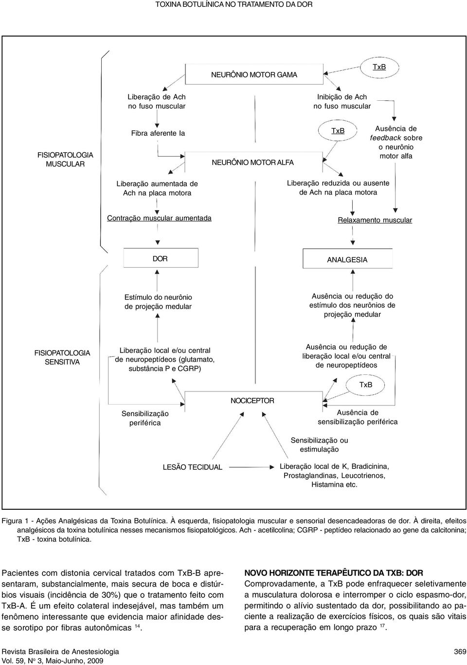 ANALGESIA Estímulo do neurônio de projeção medular Ausência ou redução do estímulo dos neurônios de projeção medular FISIOPATOLOGIA SENSITIVA Liberação local e/ou central de neuropeptídeos