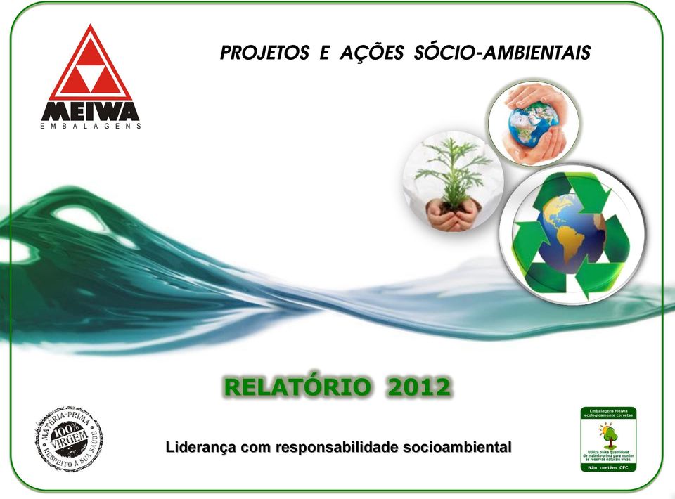 RELATÓRIO 2012