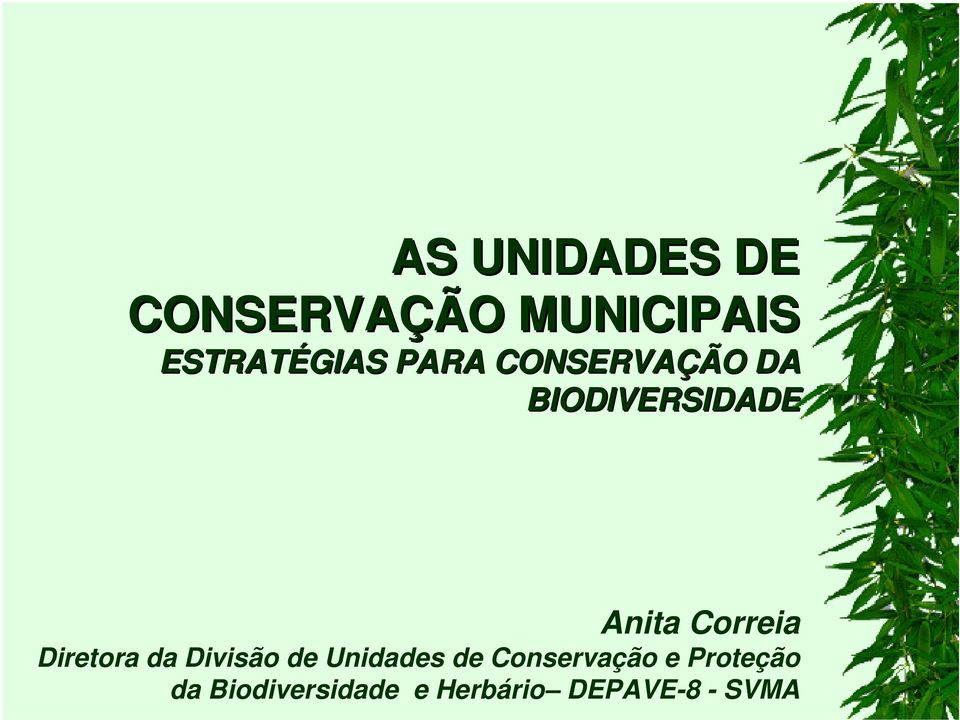 Diretora da Divisão de Unidades de Conservação e