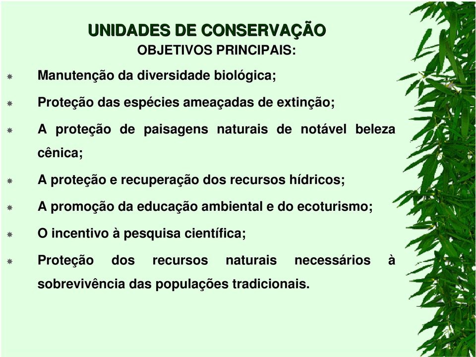 e recuperação dos recursos hídricos; A promoção da educação ambiental e do ecoturismo; O incentivo à