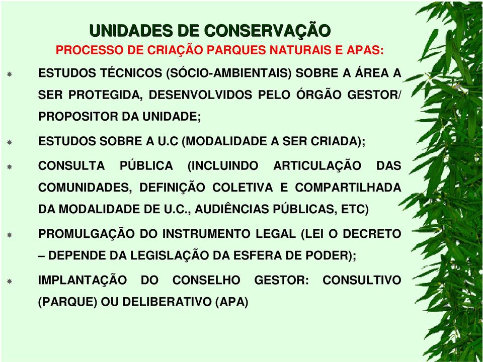 C (MODALIDADE A SER CRIADA); CONSULTA PÚBLICA (INCLUINDO ARTICULAÇÃO DAS COMUNIDADES, DEFINIÇÃO COLETIVA E COMPARTILHADA DA MODALIDADE