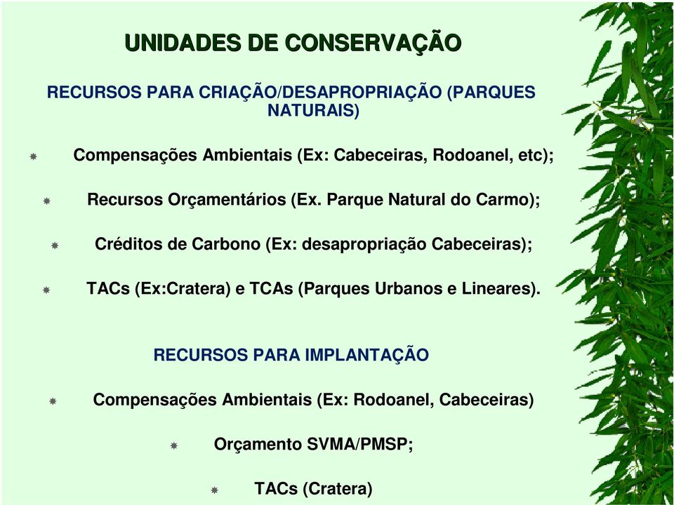 Parque Natural do Carmo); Créditos de Carbono (Ex: desapropriação Cabeceiras); TACs (Ex:Cratera) e