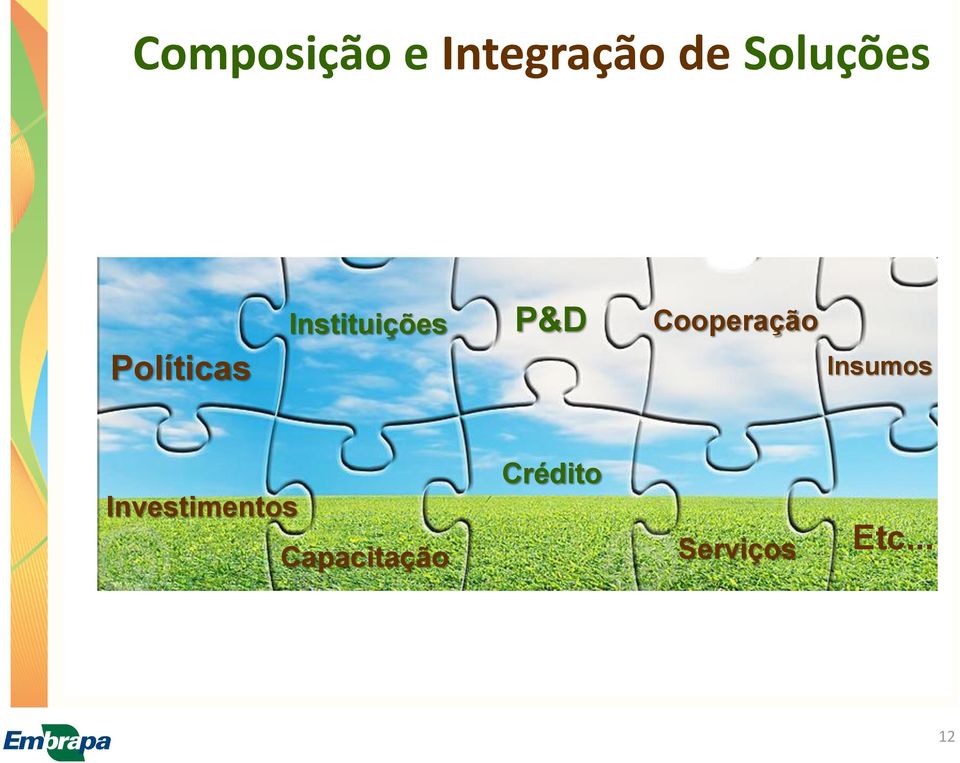 P&D Cooperação Insumos