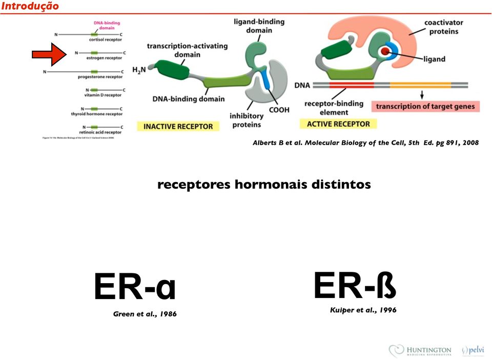 pg 891, 2008 receptores hormonais