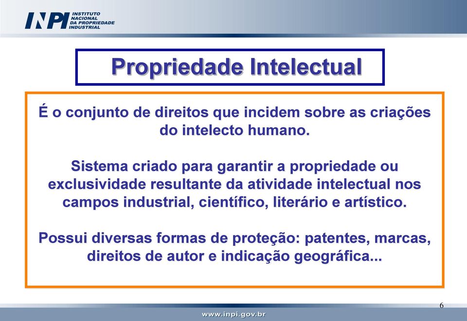 Sistema criado para garantir a propriedade ou exclusividade resultante da atividade