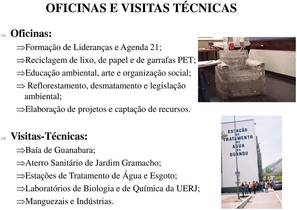 ambiental; Elaboração de projetos e captação de recursos.