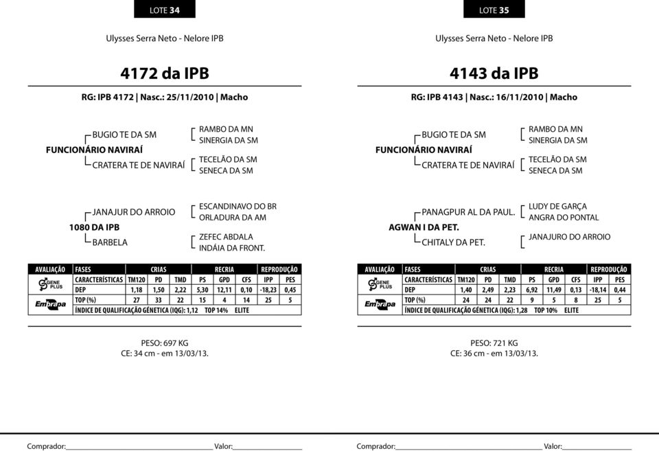 SINERGIA DA SM TECELÃO DA SM SENECA DA SM JANAJUR DO ARROIO 1080 DA IPB BARBELA ORLADURA DA AM INDÁIA DA FRONT. PANAGPUR AL DA PAUL. AGWAN I DA PET. CHITALY DA PET.