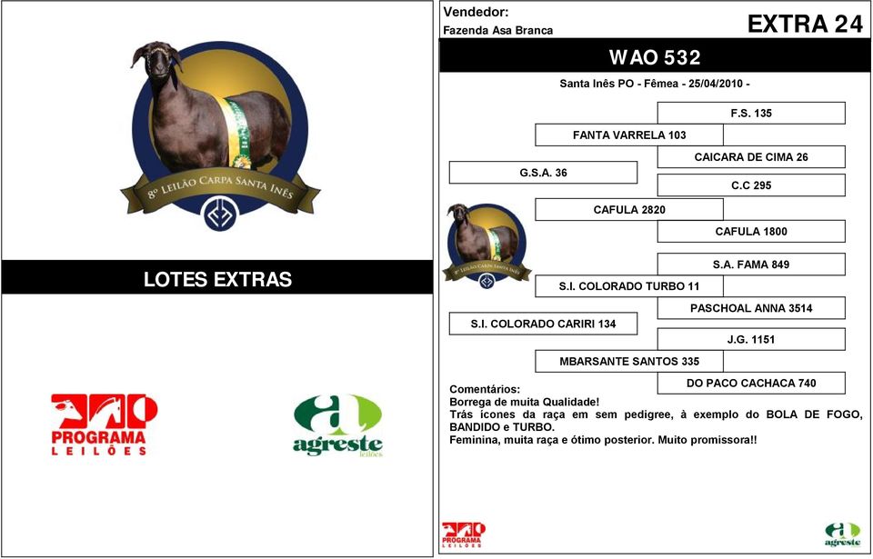 SI COLORADO CARIRI 134 JG 1151 MBARSANTE SANTOS 335 DO PACO CACHACA 740 Borrega de muita Qualidade!