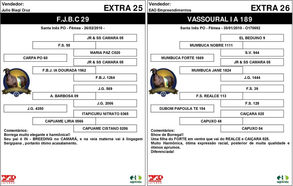 4350 A BARBOSA 09 JG 2006 ITAPICURU NITRATO 0365 DUBOM PAPOULA TE 194 FS REALCE 113 FS 128 CAIÇARA 025 CAPUAME LIRIA 0566 CAPUAME CISTANO 0206 Borrega muito elegante e harmônica!