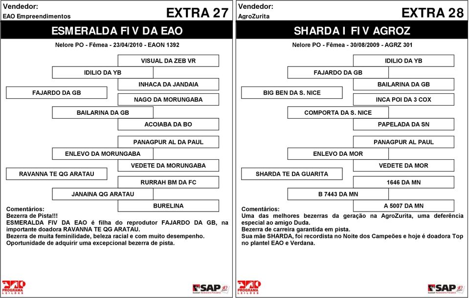 AL DA PAUL PANAGPUR AL PAUL ENLEVO DA MORUNGABA VEDETE DA MORUNGABA RAVANNA TE QG ARATAU RURRAH BM DA FC JANAINA QG ARATAU ENLEVO DA MOR SHARDA TE DA GUARITA B 7443 DA MN VEDETE DA MOR 1646 DA MN